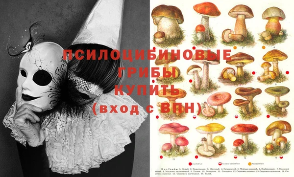 молекула духа Белоозёрский