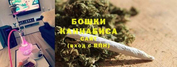 молекула духа Белоозёрский