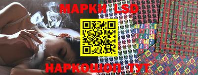 гидропоника Камышлов