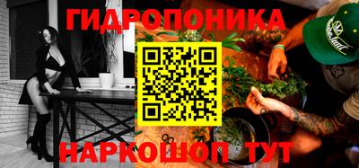 гидропоника Камышлов