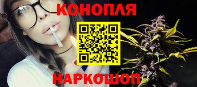 гидропоника Камышлов