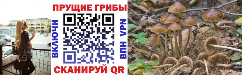 Псилоцибиновые грибы мухоморы  закладка  Тольятти 