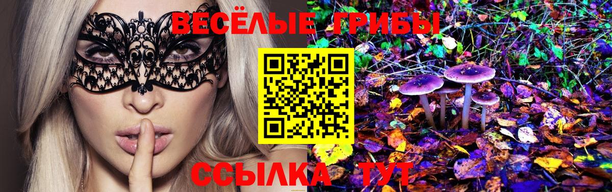 Россия  Галлюциногенные грибы GOLDEN TEACHER  Вход с VPN 
