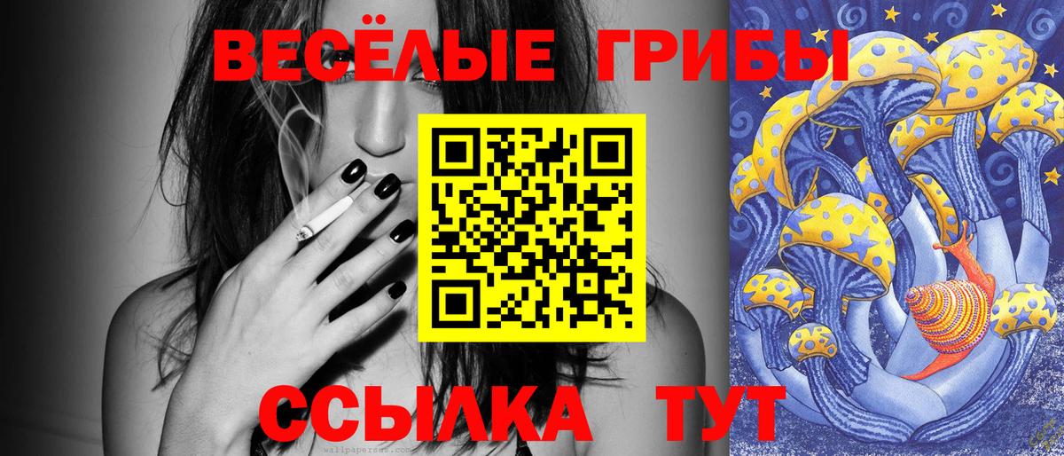Псилоцибиновые грибы Psilocybine cubensis Россия